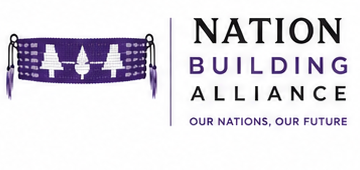 Nation Building Alliance